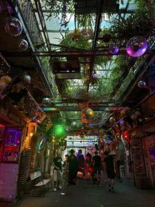 Szimplakert in Budapest