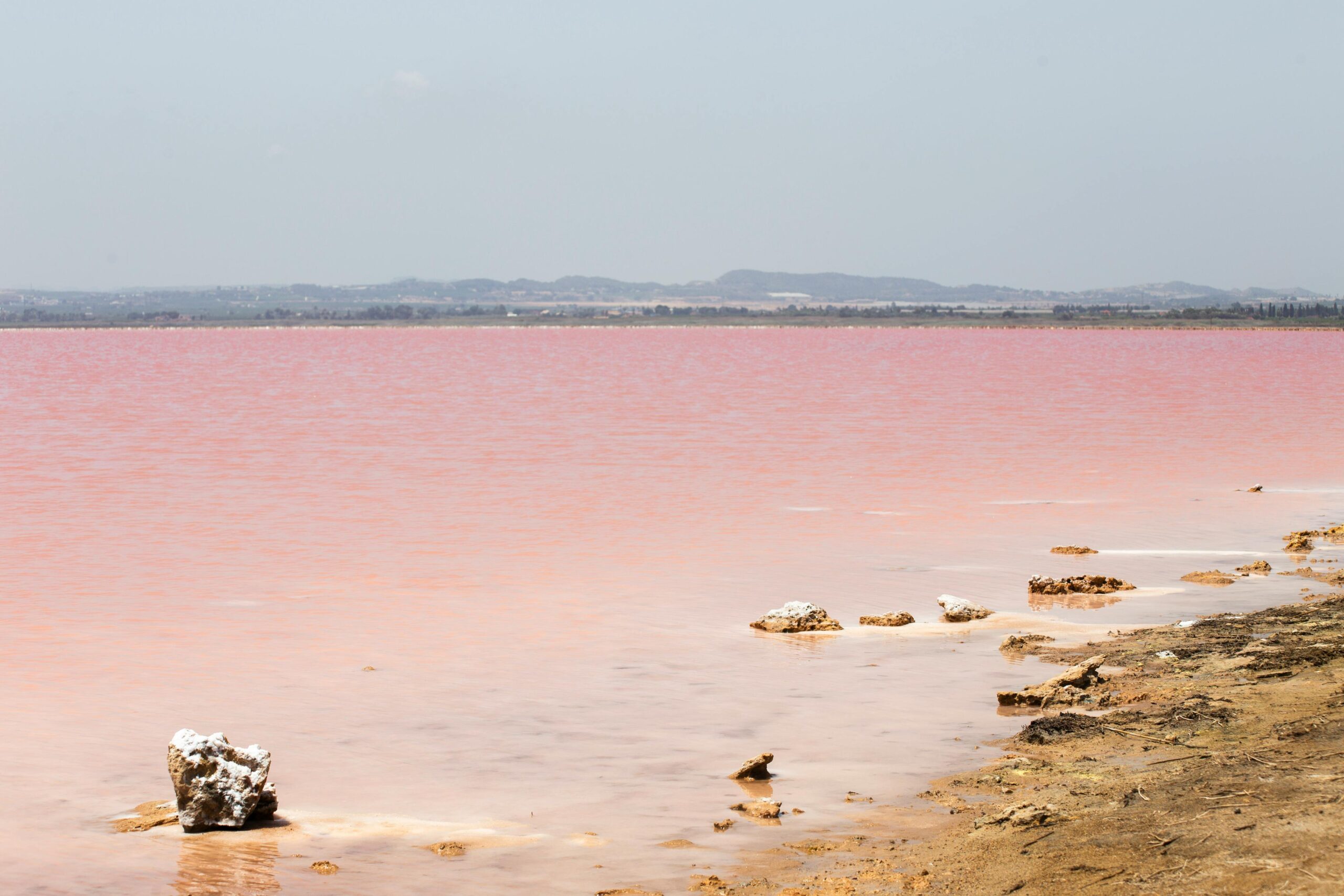 pink salt beach in spain