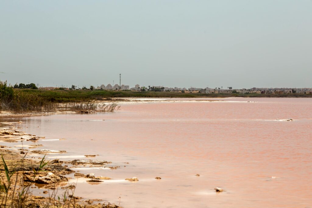 pink lagoon spain