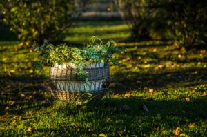 Best place to stay in chicago