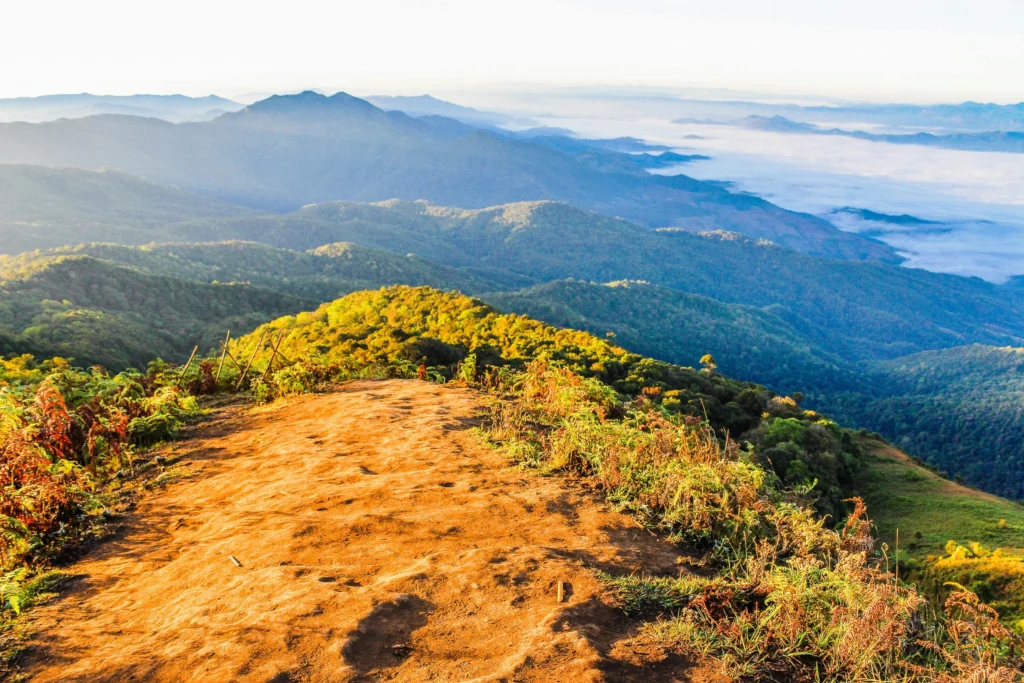 things to do asheville north carolina