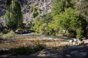 things to do in ashevelle in nc