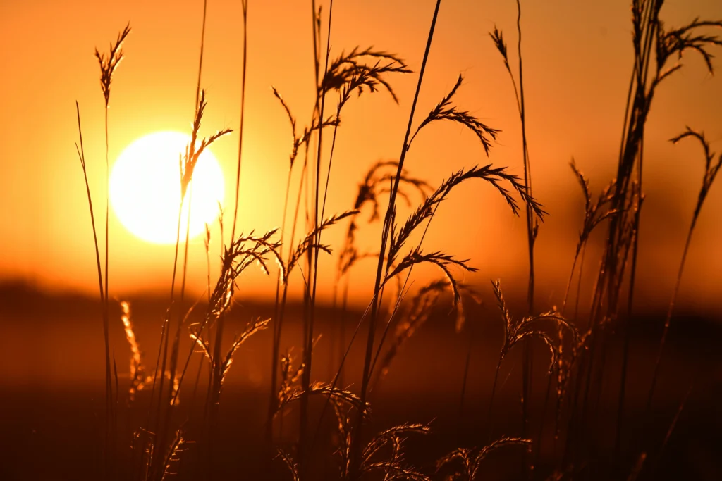 activities in ashevelle nc