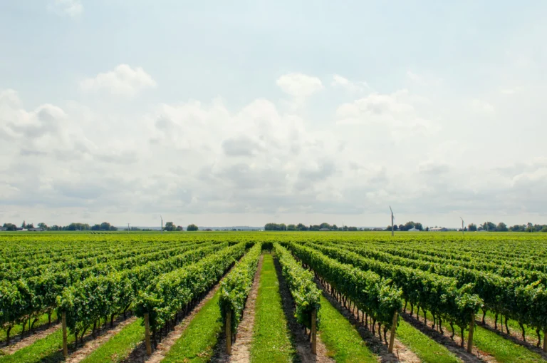 Wine tasting at a winery near Asheville