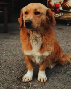 how to make an extra 100