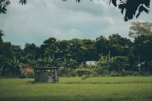 winter destinations to escape the cold, 2026