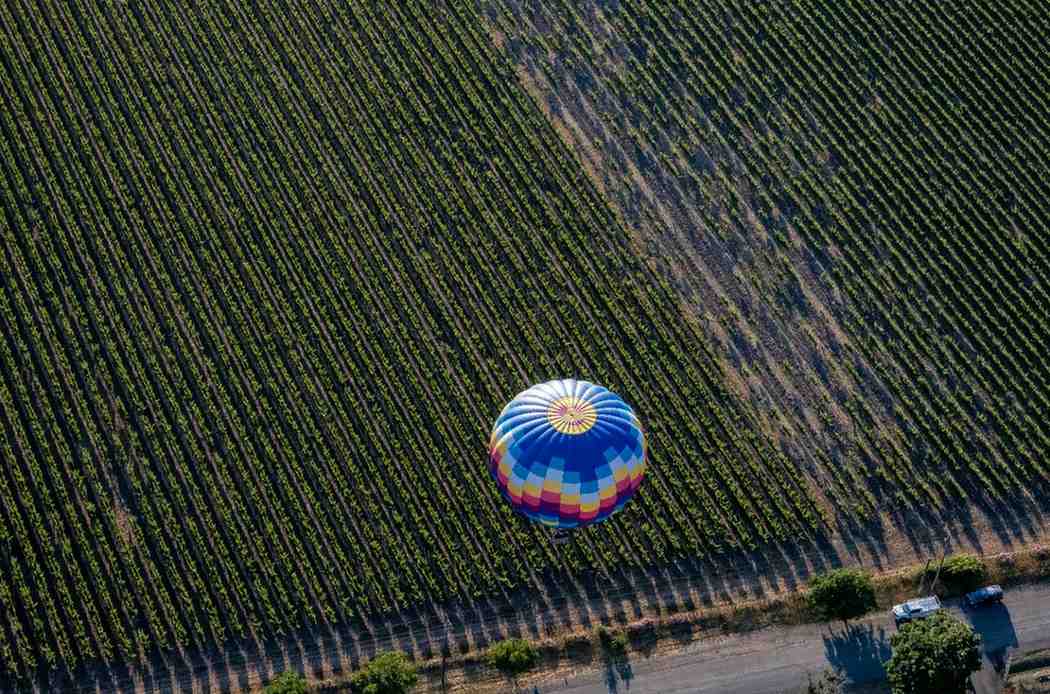 Wine tasting in Napa Valley