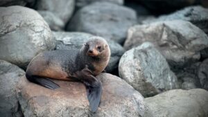 free things to do in san diego ca, unique things to do in san diego ca, things to do in san diego for free 