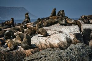 top activities san diego, sightseeing in san diego ca, what to do in downtown san diego activities san diego ca 