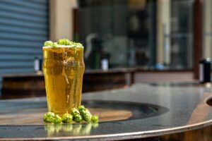things to do in phoenix and scottsdale