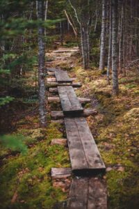 Acadia National Park campgrounds