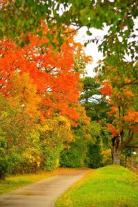  Acadia National Park photos