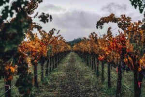 portland oregon trip itinerary
