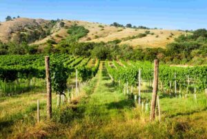 best trips in oregon