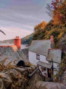 Is Clovelly dog friendly