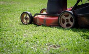 14 year olds lawn care jobs