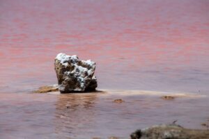 Maharloo Lake, Maharloo Lake shiraz, pink lake iran, Maharloo Lake fishing, Maharloo Lake flamingo