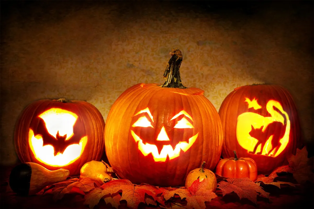 Glowing jack o lanterns on an October night