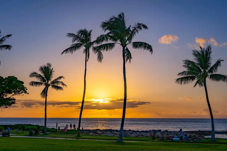 Hawaiian sunset with palm trees over the ocean, north shore oahu restaurants