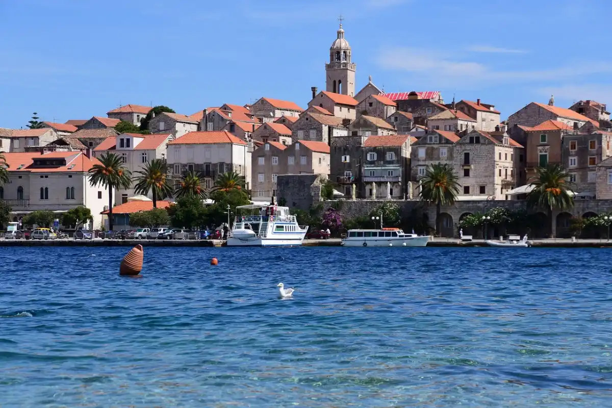 Korcula Old Town skyline with bell tower and palm trees above the harbor