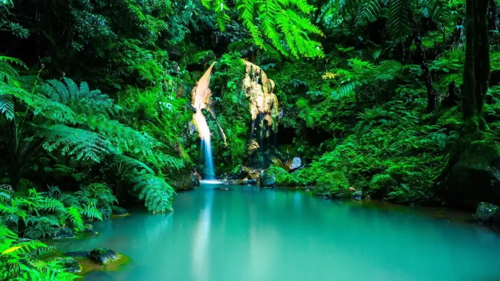 A turquoise pool beneath a waterfall in dense forest